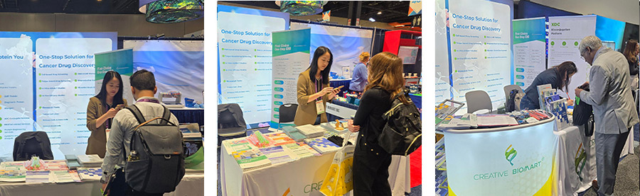 Thank You for Visiting Us at AACR Annual Meeting 2024